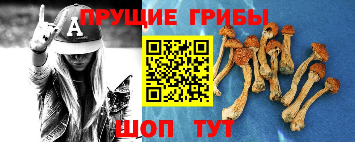 Псилоцибиновые грибы мицелий Печора