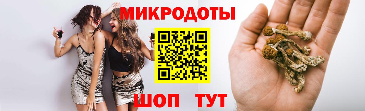 сколько стоит  Вход с VPN  Печора  Псилоцибиновые грибы мухоморы 